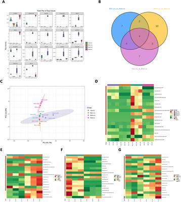 Multi-omics reveals the alleviating effect of berberine on ulcerative colitis through modulating the gut microbiome and bile acid metabolism in the gut-liver axis